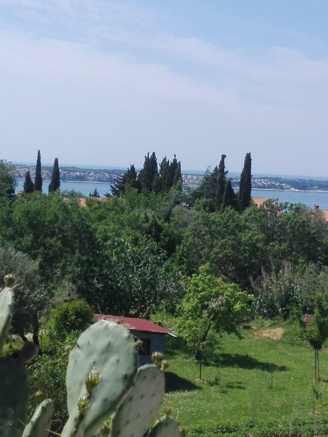 Stella - Parking Piran